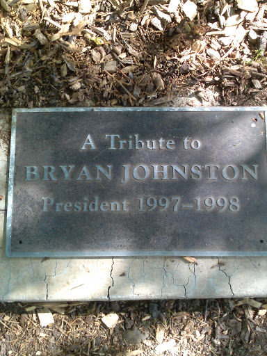 Bryan Johnston Memorial Tree