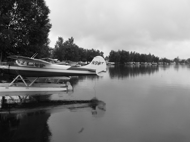 [P1010045[6].jpg]