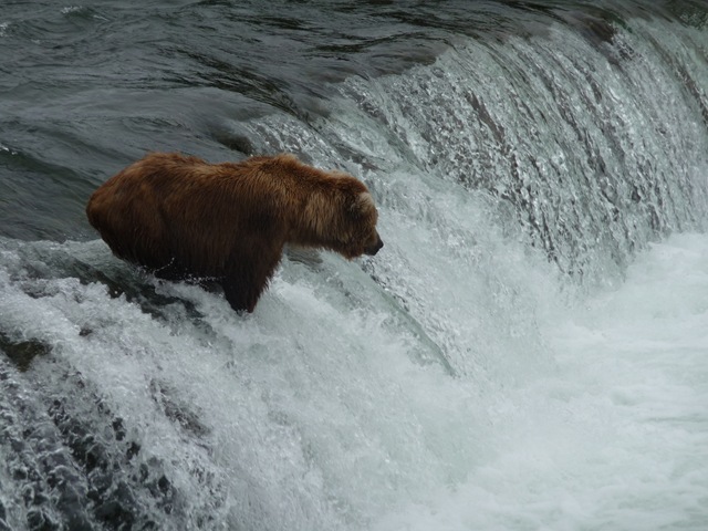 [P10101667.jpg]