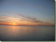IMG_0950 (Medium)
