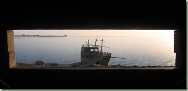 IMG_0920 (Medium)
