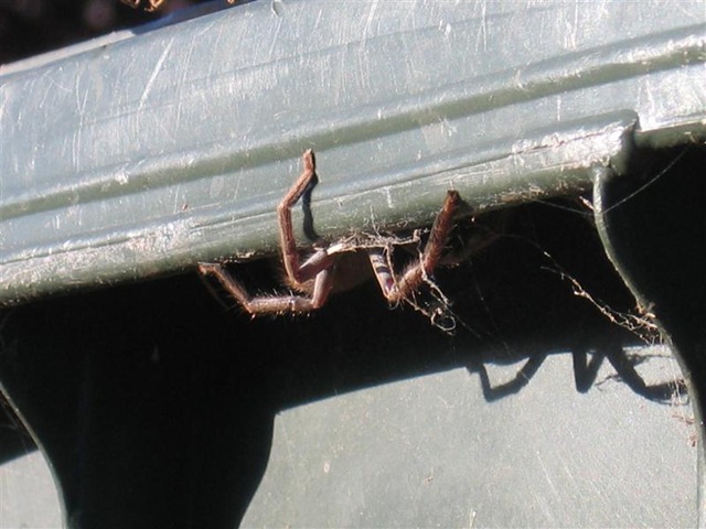 [IMG_0850 (Medium)[2].jpg]