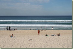 IMG_1787 (Large)