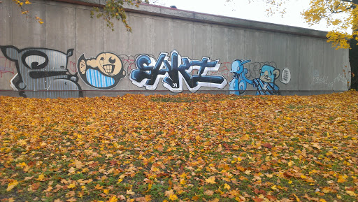 Graffiyi Wall / Kiwi Graffiti on Veja Street