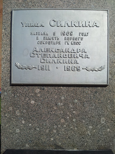 Памятник А. С. Силкину