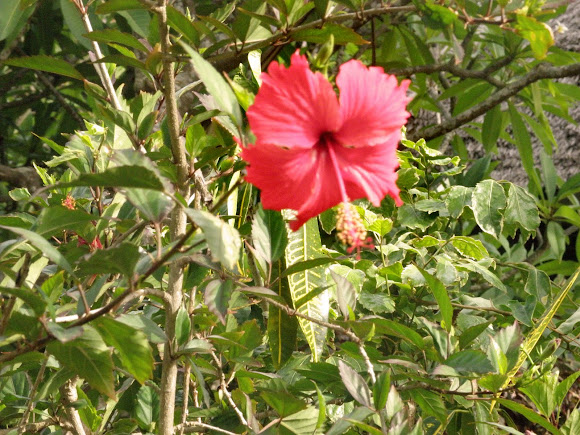 Spotting Image 1