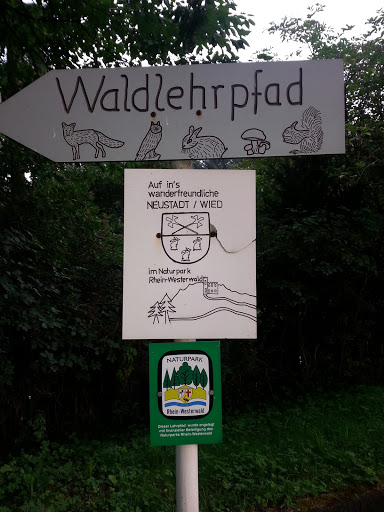 Startpunkt Waldlehrpfad Neustadt Wied