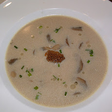 Cream of Morel Mushroom Soup