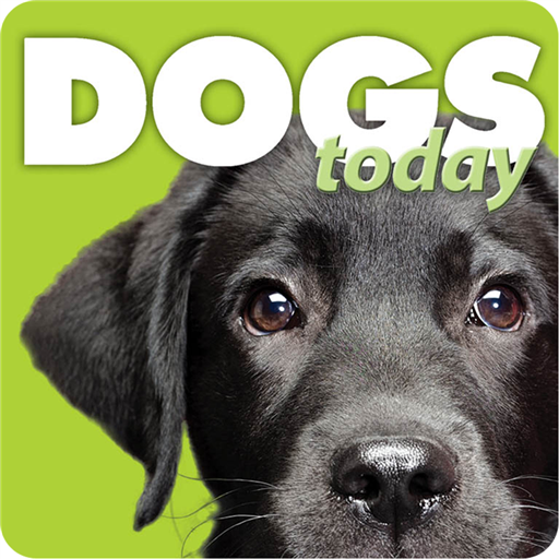 Dogs Today LOGO-APP點子