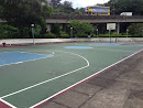 Basketball Ground