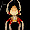 Orbweaver spider