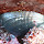 California Tidepools!