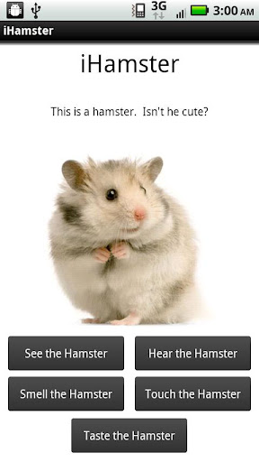 iHamster