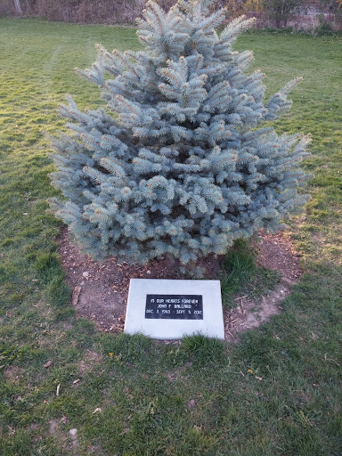 John F. Ballard Memorial Tree