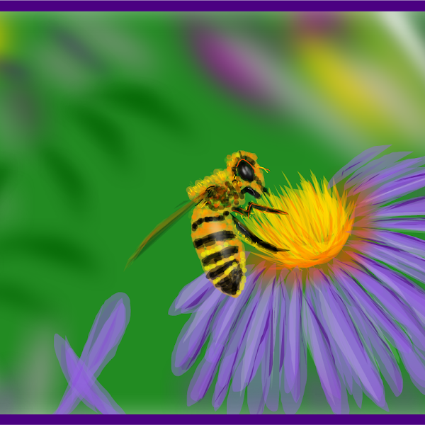 The Honey Bee » drawings » SketchPort