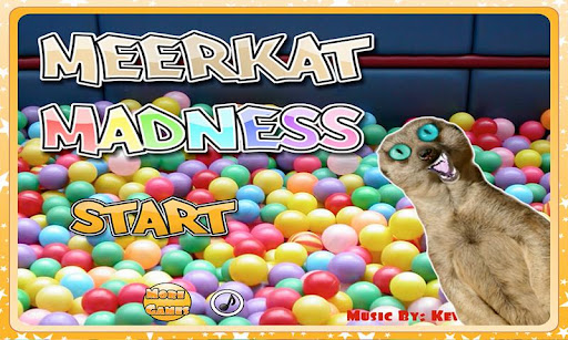 Meerkat Madness - Whack a Mole