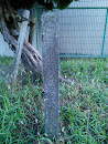 東京オリンピック記念植樹