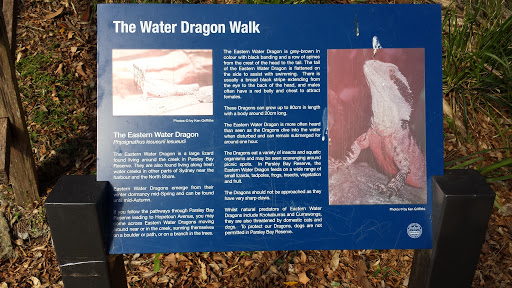 The Water Dragon Walk