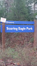 Soaring Eagle Park