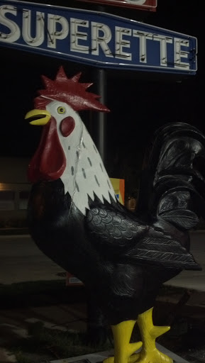 The Apollo Rooster