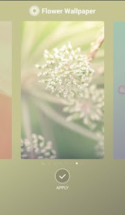 How to get Flower Wallpaper 1.0.0 apk for bluestacks