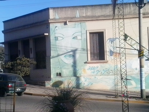 Mural De Gato