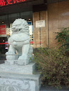 北京狮子