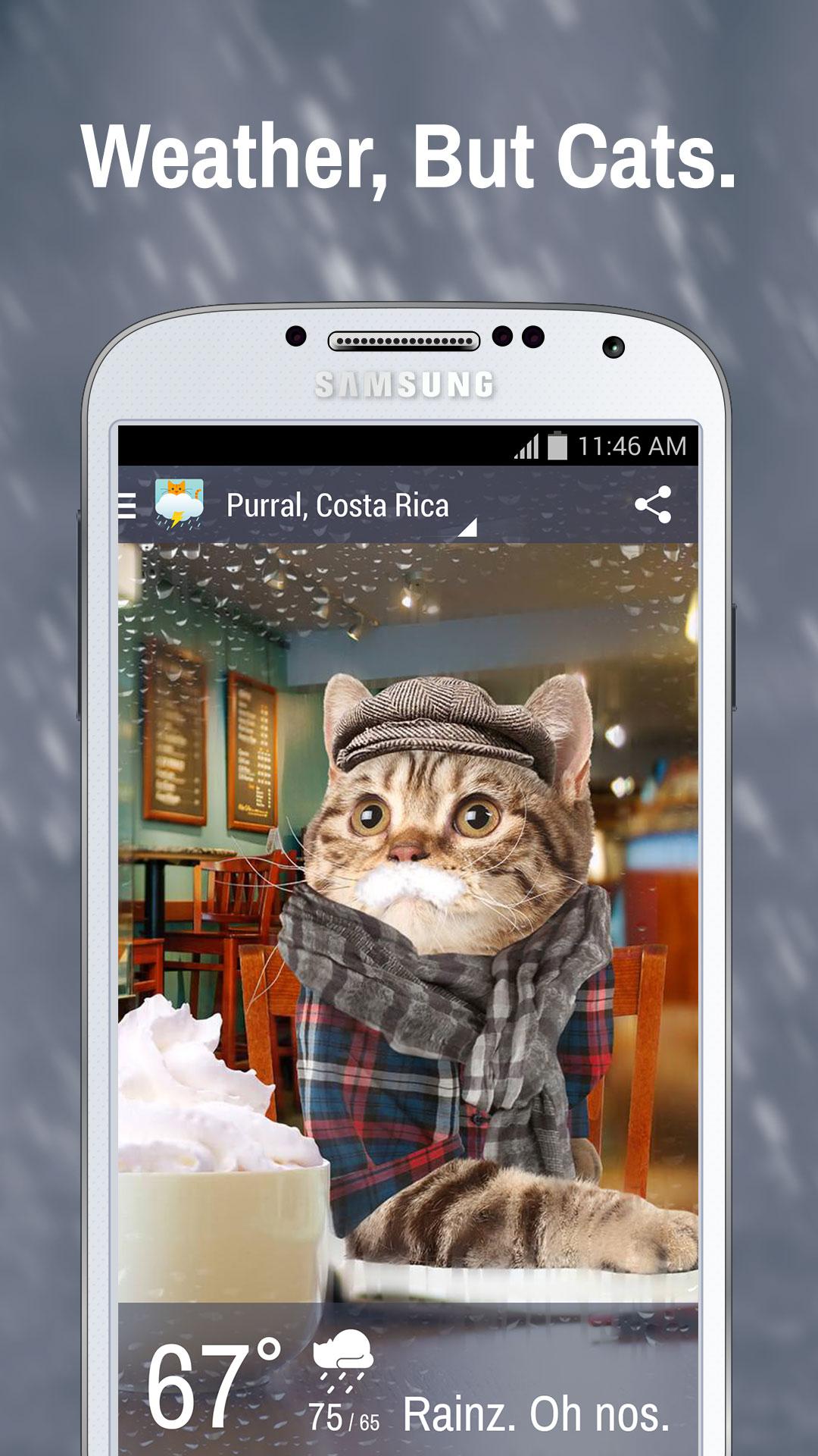 Android application Weather Whiskers App &amp; Widget screenshort
