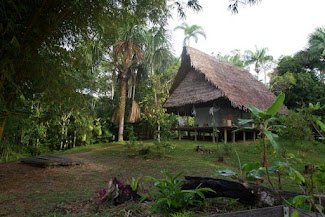 <p>
	Calanoa Amazonas reception and dining cabana on the Amazon river bank.</p>
