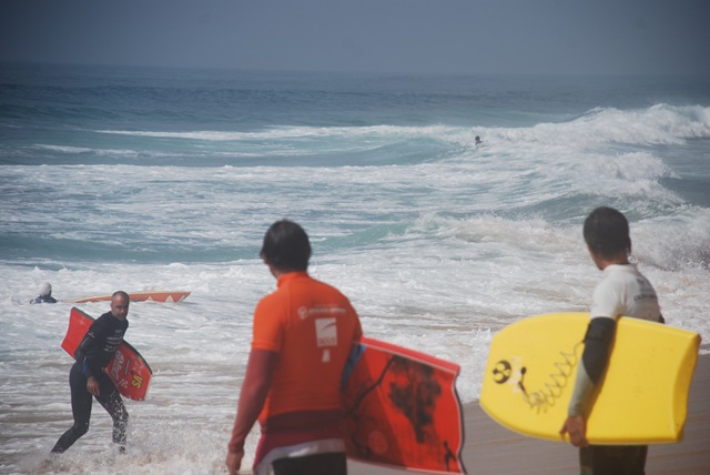 [DSC_0382[3].jpg]