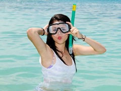 selenafan023