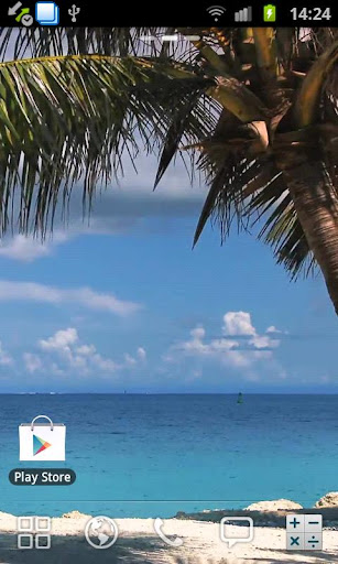 Beach Palm Tree Live Wallpaper