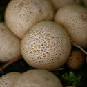 Earth ball