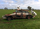 Car and Cows