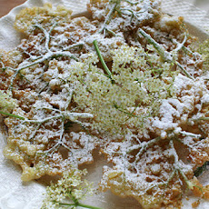 Elderflower Fritters
