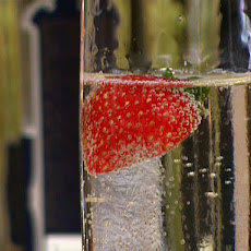 Fleur de Champagne