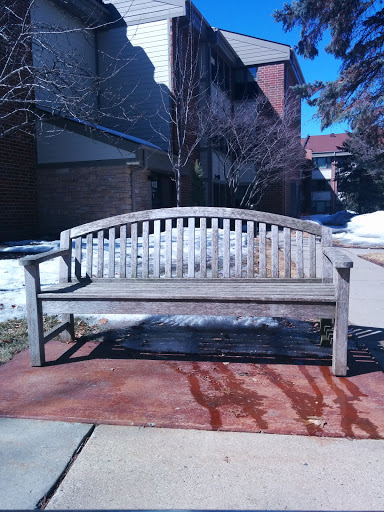 Michael Stearn Memorial Bench
