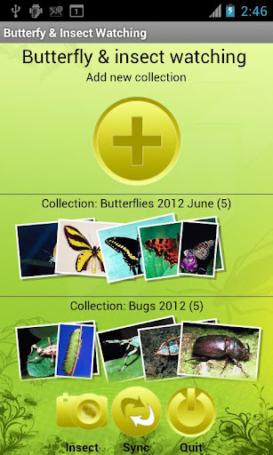 【免費攝影App】Butterfly & Insect Collector-APP點子