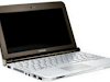 Netbook Toshiba Satellite Nb205 Sp2920 Brown
