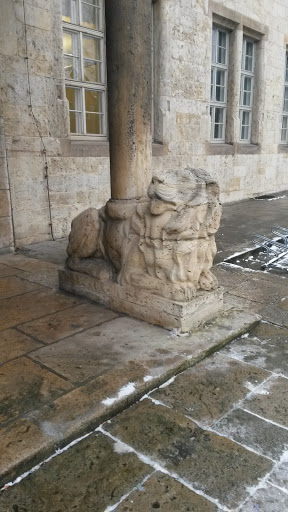 Löwe vor der Universität. 