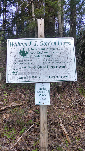 William J. J. Gordon Forest