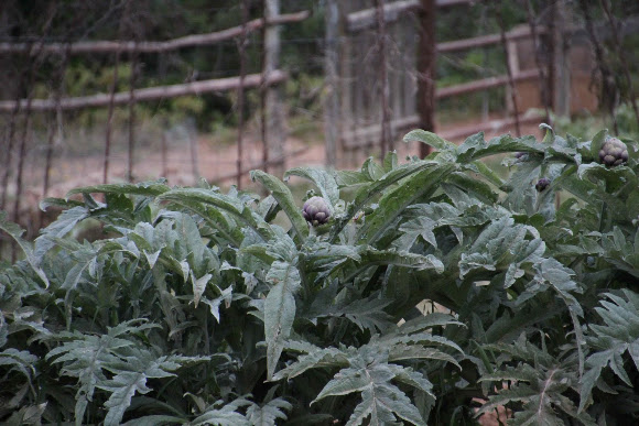 Spotting Image 1