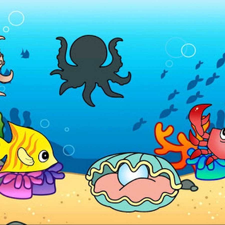 35+ Gambar Kartun Hewan Air, Yang Istimewa!