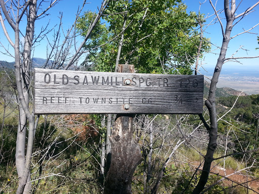 Old Sawmill Trail Junction