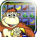 Crazy Monkey slot machine mobile app icon