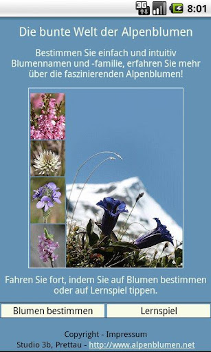 Demo - Alpenblumen