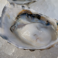 Oysters with Cucumber-Jalapeño Granita