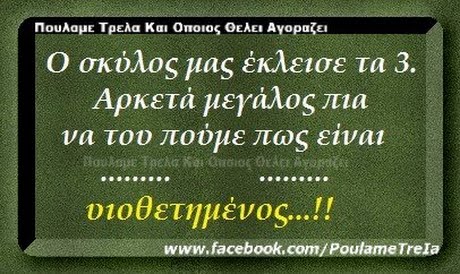 Πουλαμε Τρελα Και Οποιος Οελει Αγοραζει Ο σκύλος μας έκλεισε τα 3. Αρκετά μεγάλος πια να τοο ποουε πως ειναι υιοθετημένος www.facebook,com/PoulameTrela