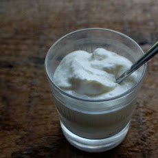 Homemade Yogurt