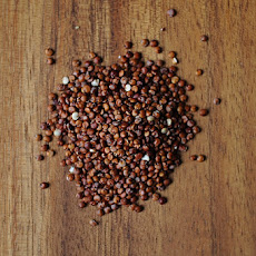 Warm Red Quinoa & Squash Salad
